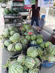 菏泽曹县网红吃瓜事件,一场网络舆论的发酵与反思