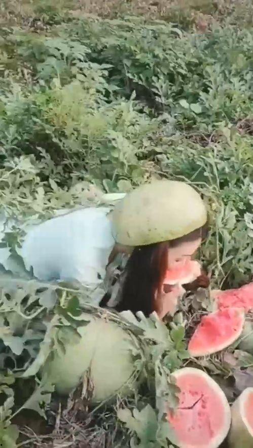 售楼处小姐姐吃瓜网,揭秘房地产行业幕后趣闻