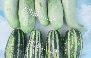 吃瓜2021网红